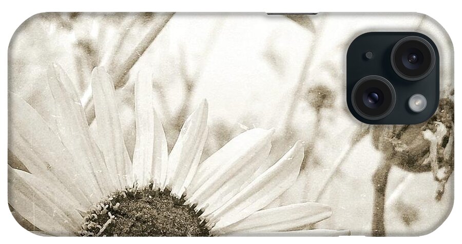 Daisy iPhone Case featuring the digital art Daisy by Kevyn Bashore