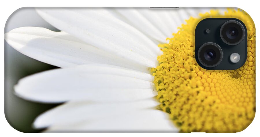 Daisy iPhone Case featuring the photograph Daisy by Marlo Horne