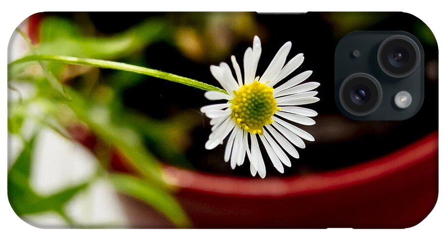 Daisy iPhone Case featuring the photograph Daisy or What. by Elena Perelman