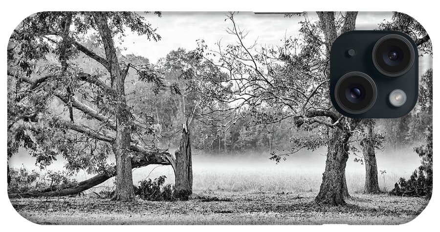 Fog iPhone Case featuring the photograph Dale - Foggy Morning by Scott Hansen