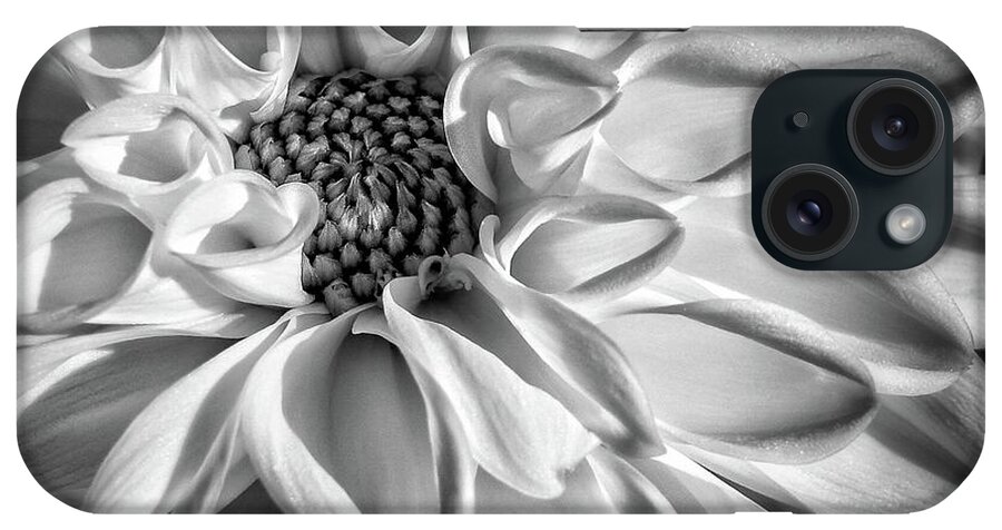 Black And White iPhone Case featuring the photograph Daliah by Chris Fleming