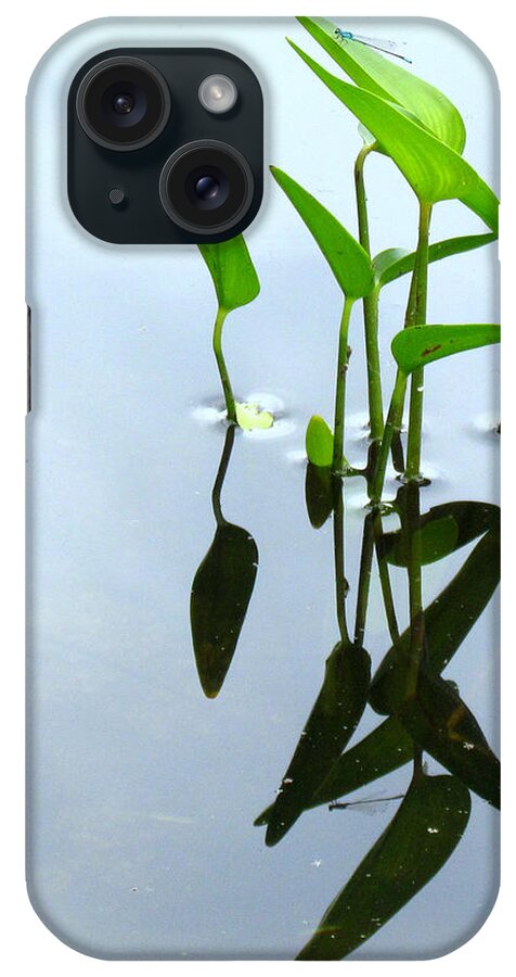 Pond iPhone Case featuring the photograph Damselfly In The Mirror by Lori Lafargue