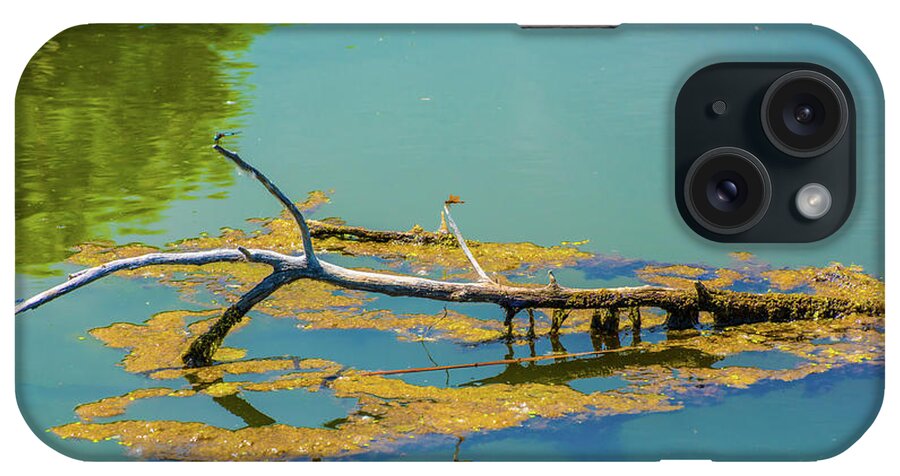 Barr Lake iPhone Case featuring the photograph Damselfly on a Branch On A Lake by Tom Potter