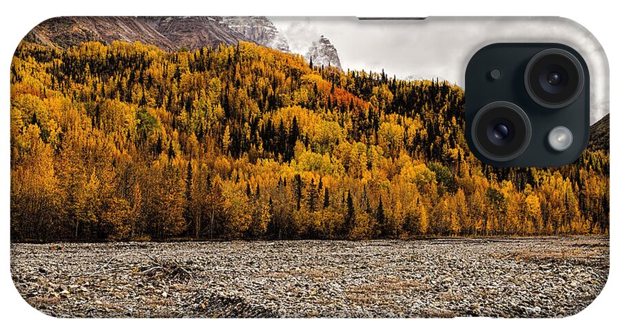 Autumn Colors iPhone Case featuring the photograph Dan Creek Color by Fred Denner