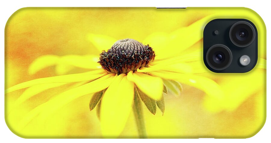 Black-eyed Susan iPhone Case featuring the photograph Dance of Joy by Anita Pollak
