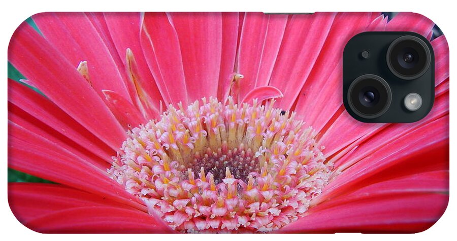 Floral iPhone Case featuring the photograph Dancing Ballerinas by Mary Halpin