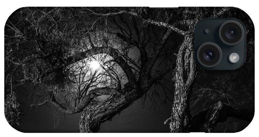 Trees iPhone Case featuring the photograph Dancing By The Light of the Moon by Toma Caul