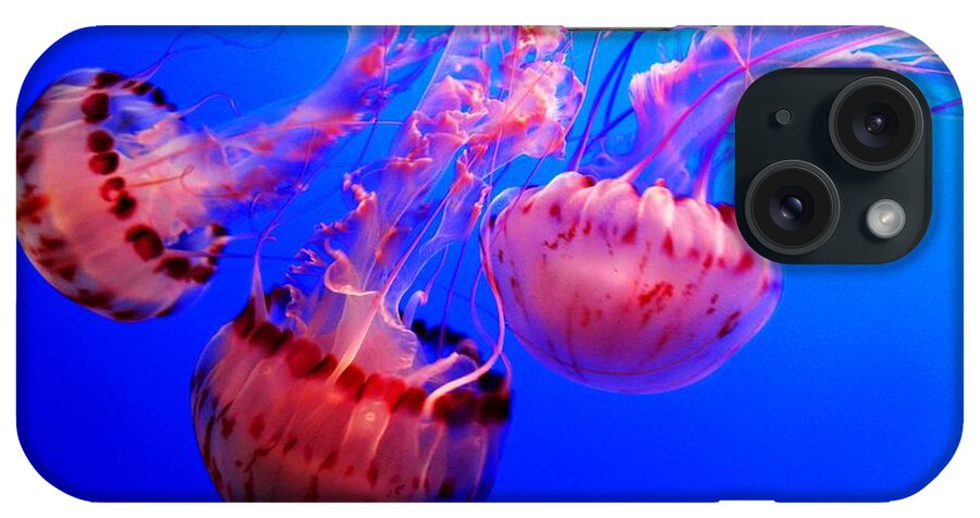 Underwater iPhone Case featuring the photograph Dancing Trio by Elizabeth Hoskinson