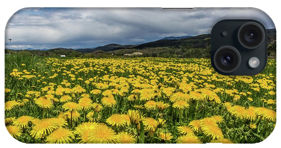 Flowers iPhone Case featuring the photograph Dandelion Fields by Tim Kirchoff