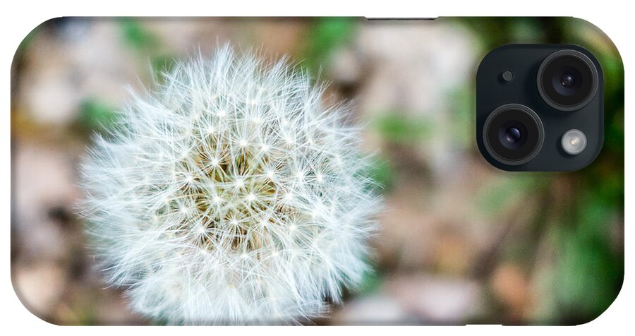 Connected iPhone Case featuring the photograph Dandelion Seed Head by SR Green
