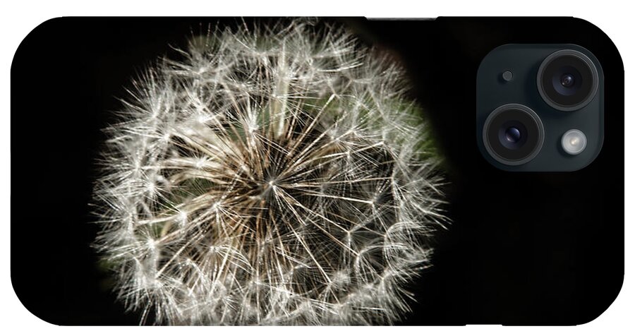 Nature iPhone Case featuring the photograph Dandelion Seeds by Robert Bales