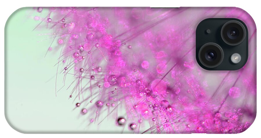 Photography iPhone Case featuring the photograph Dandy in Pink by Kaye Menner by Kaye Menner