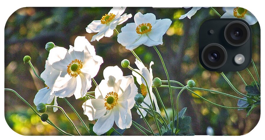 Anemones iPhone Case featuring the photograph Dappled Sunlight by Janis Senungetuk