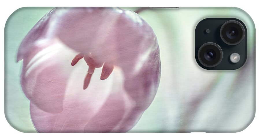 Jenny Rainbow Fine Art Photography iPhone Case featuring the photograph D'Argent by Jenny Rainbow
