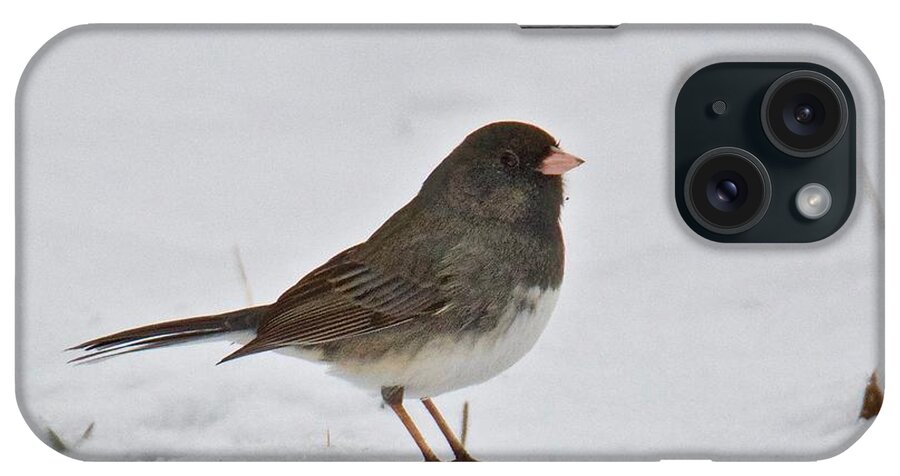 Dark-eyed iPhone Case featuring the photograph Dark-eyed Junco 1217 by Michael Peychich
