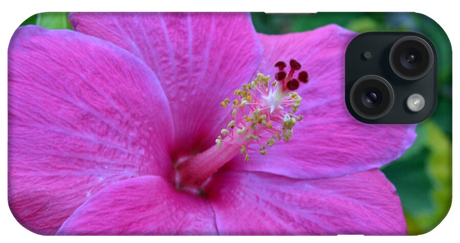 Flower iPhone Case featuring the photograph Dark Pink Hibiscus by Amy Fose