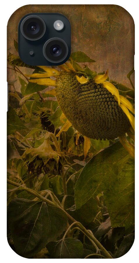 Sunflower iPhone Case featuring the photograph Dark Textured Sunflower by Arlene Carmel