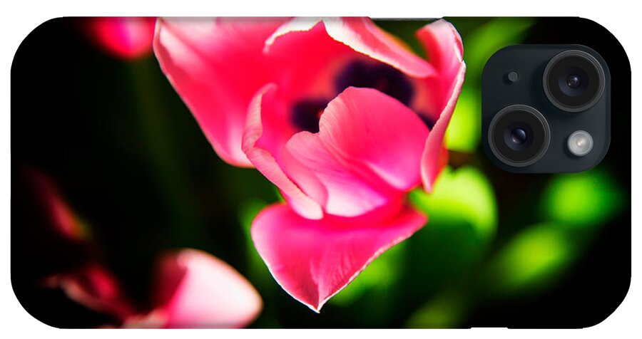 Tulip iPhone Case featuring the photograph Dark Tulip by Mike Hope by Michael Hope