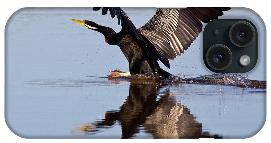 Bird Landing On Water Darter River Murray Flying Reflection Reflections Wing Span iPhone Case featuring the photograph Darter Landing by Bill Robinson
