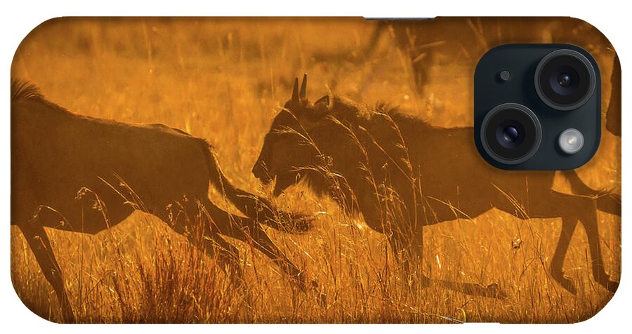 Africa iPhone Case featuring the photograph Dawn Chase by Tim Bryan