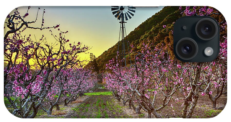 Landscape iPhone Case featuring the photograph Dawn In The Orchard by Mimi Ditchie