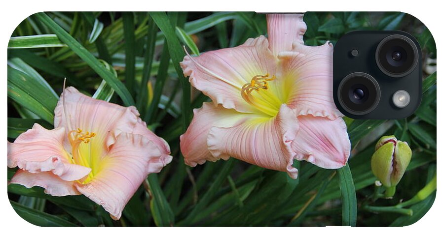 Flower iPhone Case featuring the photograph Daylilies by Allen Nice-Webb