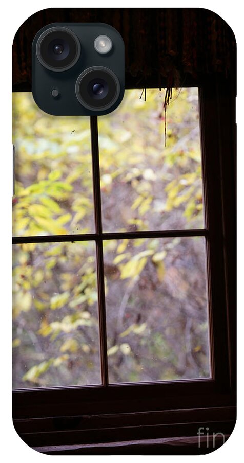 Window iPhone 15 Case featuring the photograph Daydream by Linda Shafer