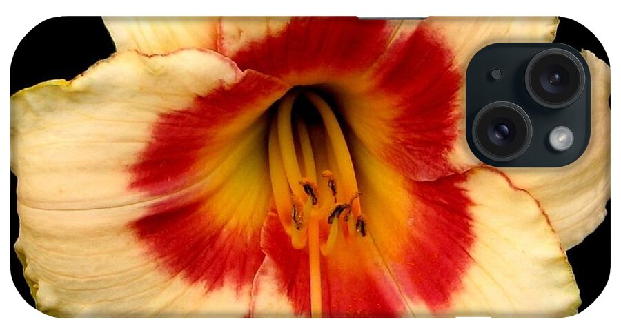 Daylily iPhone Case featuring the photograph Daylily 3 by Rose Santuci-Sofranko