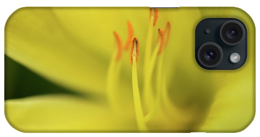 Terry Elniski Photography iPhone Case featuring the photograph Daylily Soft Focus by Terry Elniski