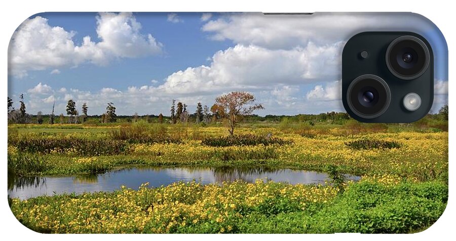 Marsh iPhone Case featuring the photograph Days of Glory by Carol Bradley
