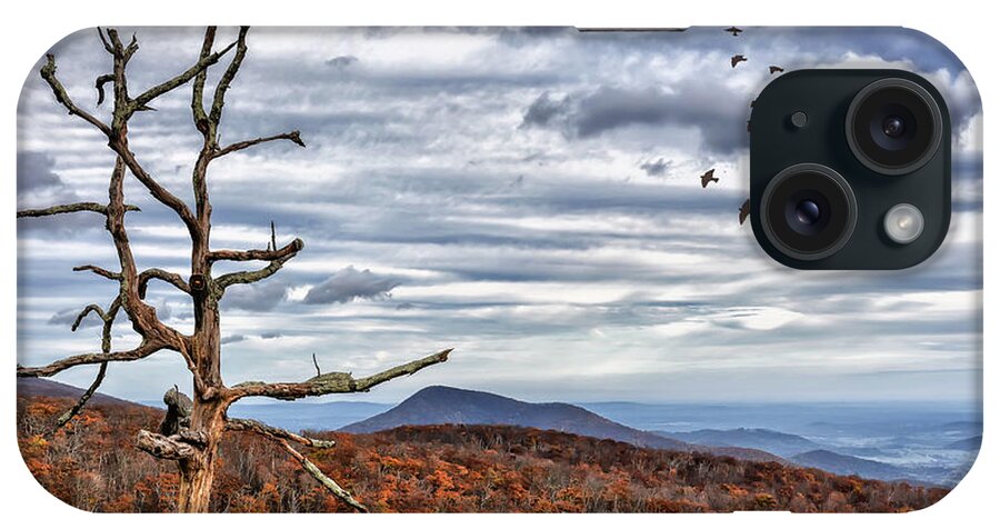 Skyline Drive iPhone Case featuring the photograph Dead Tree At Skyline Drive by Lois Bryan