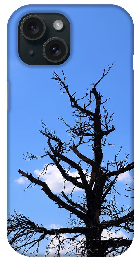 Tree iPhone Case featuring the photograph Dead Tree by Mary Bedy