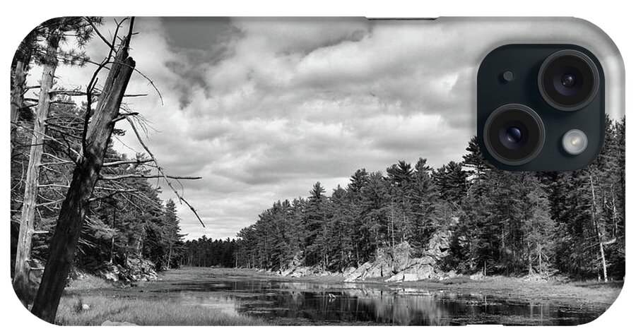 Black And White iPhone Case featuring the photograph Dead Trees By The Water BW Two by Lyle Crump
