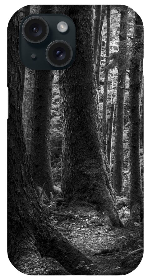 Art iPhone Case featuring the photograph Deep Dark Forest II by Jon Glaser