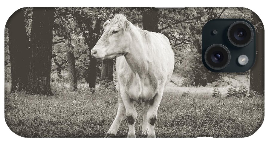 Cow iPhone Case featuring the photograph Deep In Thought by Viviana Nadowski