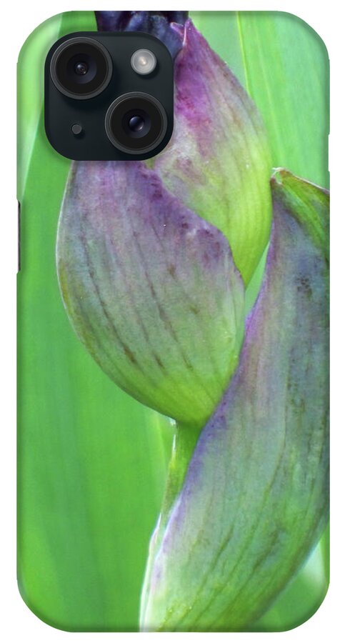 Flowers iPhone Case featuring the photograph Deep Purple Promise by Cris Fulton
