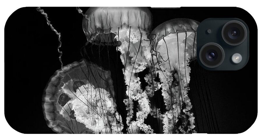 Jellyfish iPhone Case featuring the photograph Deep Sea Lanterns by Mimi Ditchie