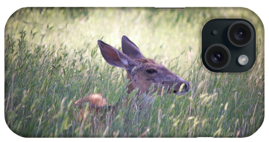 Deer iPhone Case featuring the photograph Deer in Grass Two by Veronica Batterson