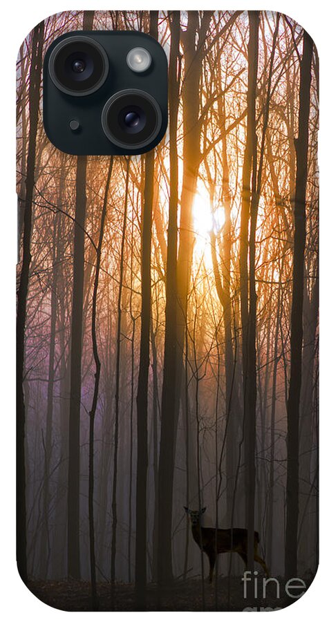 Deer iPhone Case featuring the photograph Deer in the Forest at Sunrise by Diane Diederich