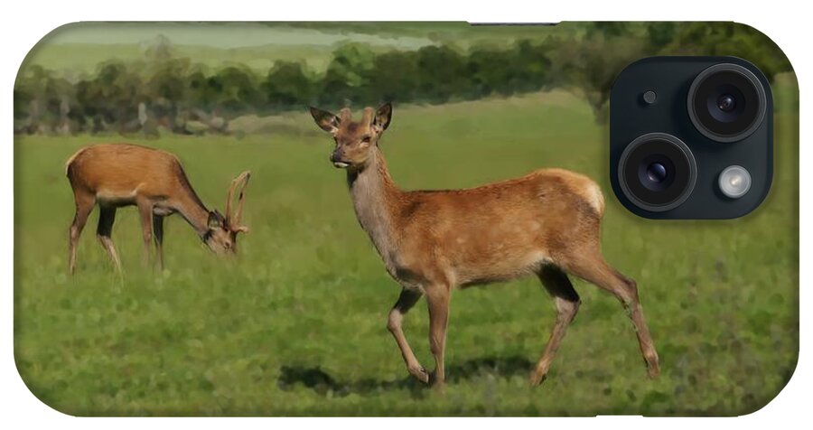 Deer iPhone Case featuring the photograph Deers on a hill pasture. by Elena Perelman