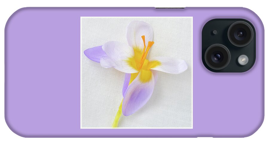 Crocus iPhone Case featuring the photograph Delicate Art Of Crocus by Terence Davis