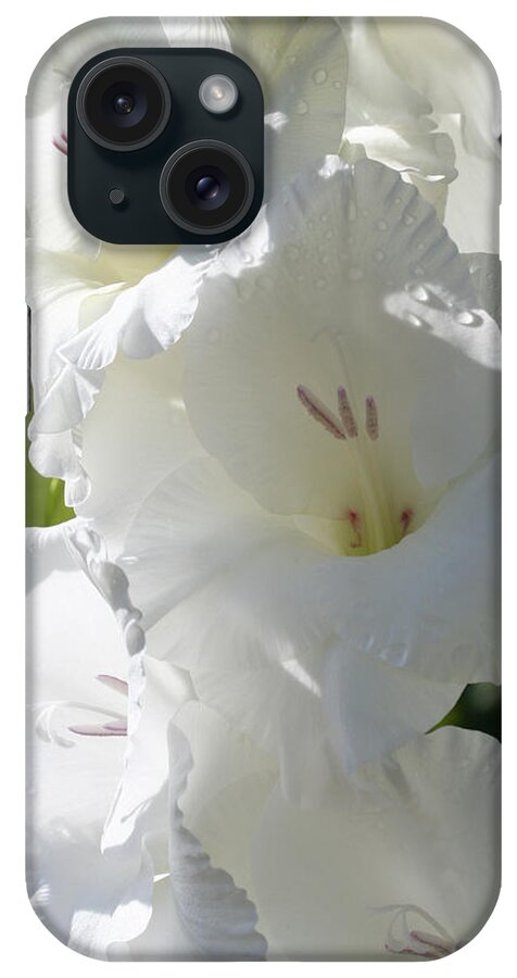 Gladiolus iPhone Case featuring the photograph Delightful Gladiolus by Tammy Pool