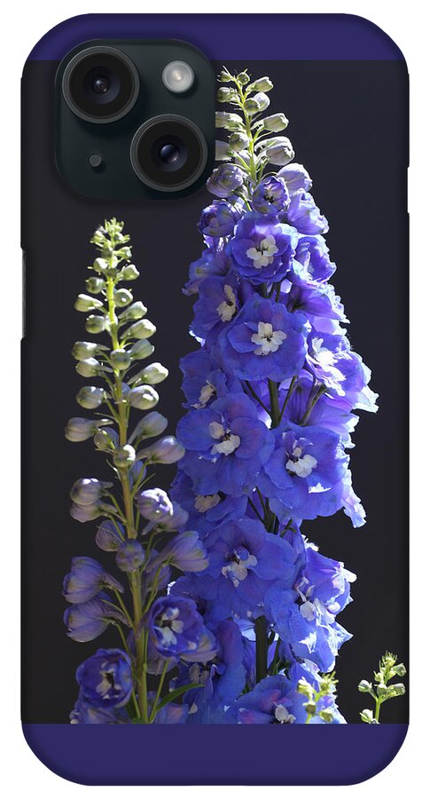 Larkspur iPhone Case featuring the photograph Delphinium Torpedo by Tammy Pool