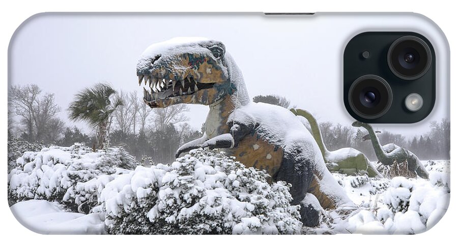 Photosbymch iPhone Case featuring the photograph Demise of the dinosaurs by M C Hood