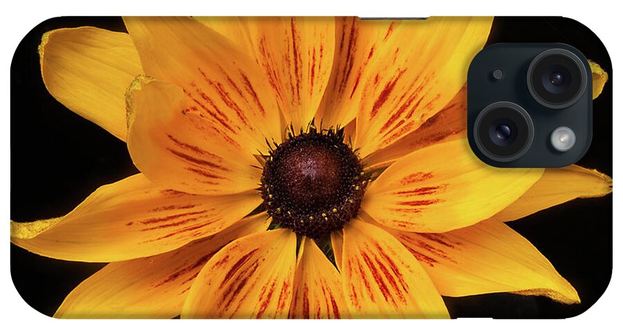 Flower iPhone Case featuring the photograph Denver Daisy by Ann Jacobson