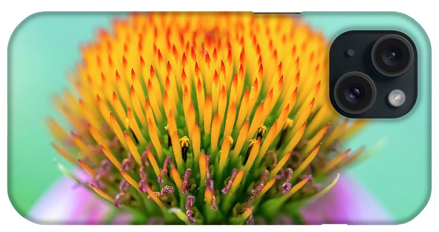 Flower iPhone Case featuring the photograph Depth of Field by Allin Sorenson