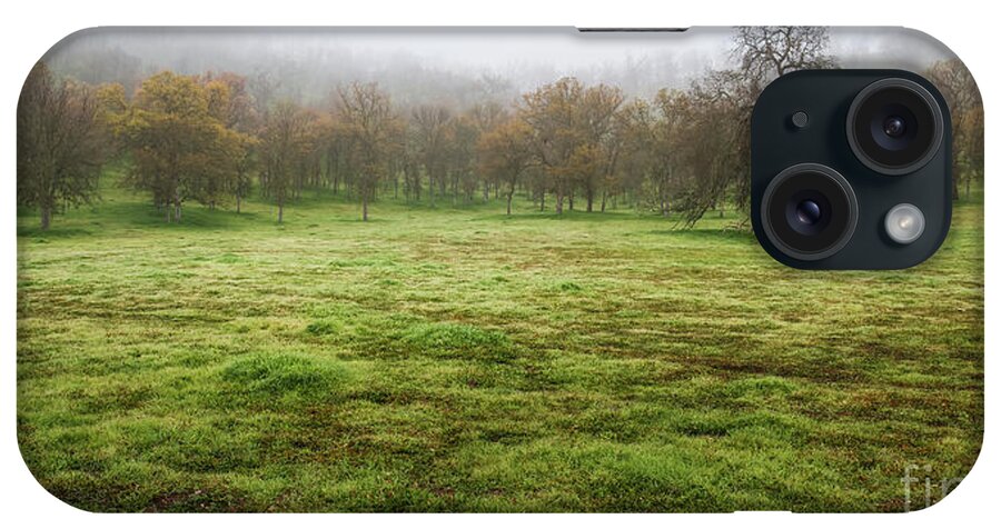 Oak Tree iPhone Case featuring the photograph Descending Mist by Anthony Michael Bonafede