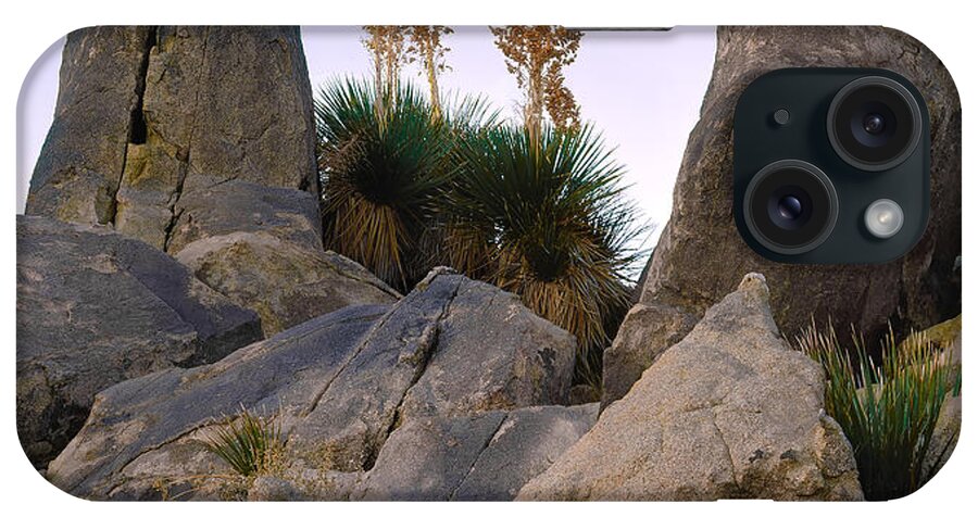 Landscape iPhone Case featuring the photograph Desert Flags by Paul Breitkreuz