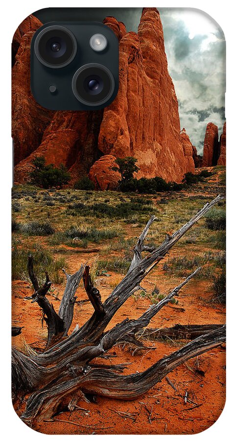 Arches National Park iPhone Case featuring the photograph Desert Floor by Harry Spitz