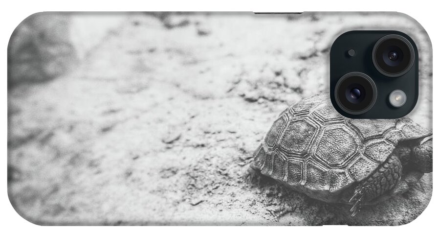 Turtle iPhone Case featuring the photograph Desert Island by Mark Ross